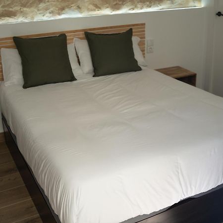 Hotel Boutique - Estancia Dos Olivos Quesa Εξωτερικό φωτογραφία